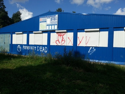 Punks not dead (хуй)