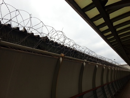 Колючая проволока