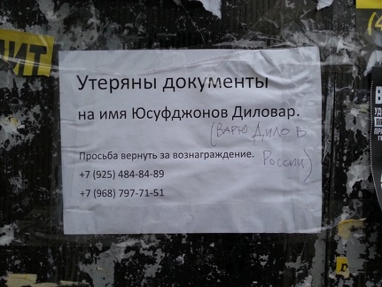 Варю дило в России