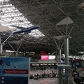 Vnukovo International Airport