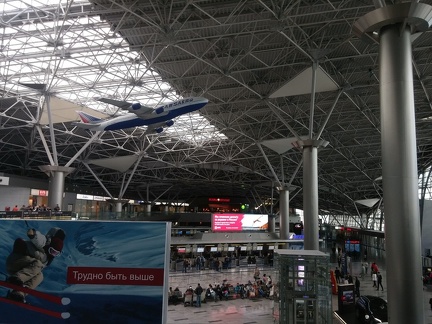 Vnukovo International Airport