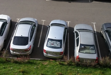 Ватник детектед