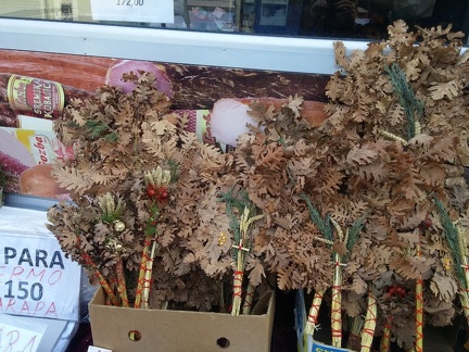 Ветки дуба (к Рождеству)