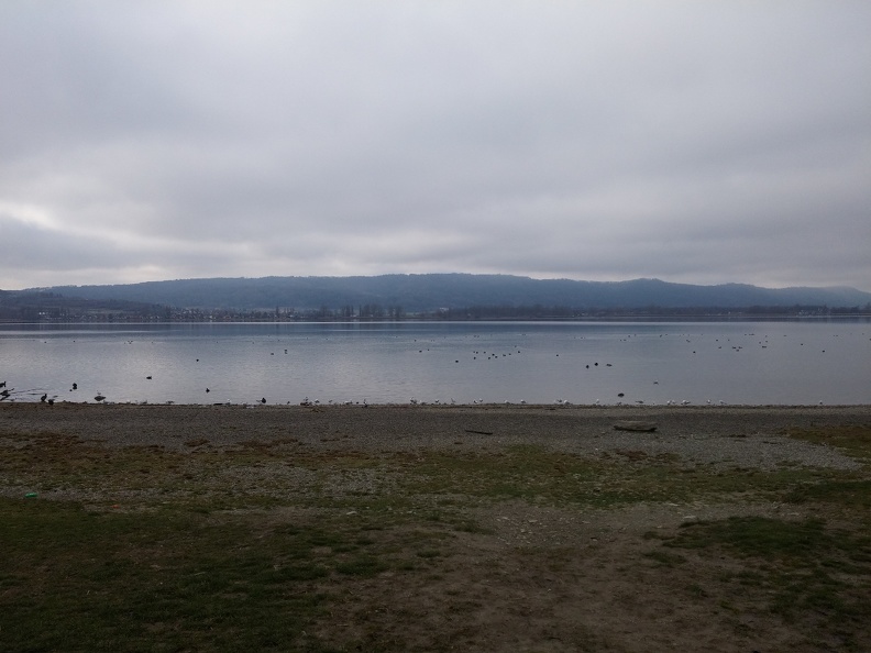 lake.jpg