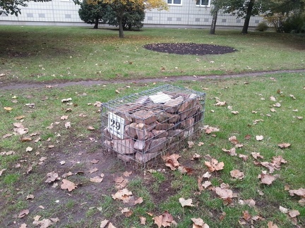 Камни в "клетке"