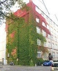 Multi-storey Plant