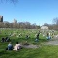 Sheep Meadow