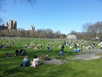 Sheep Meadow