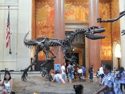 American Museum of Natural History