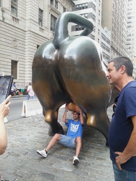charging_bull.jpg