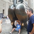 Charging Bull