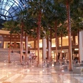 Winter Garden Atrium
