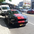 Ford Shelby GT500